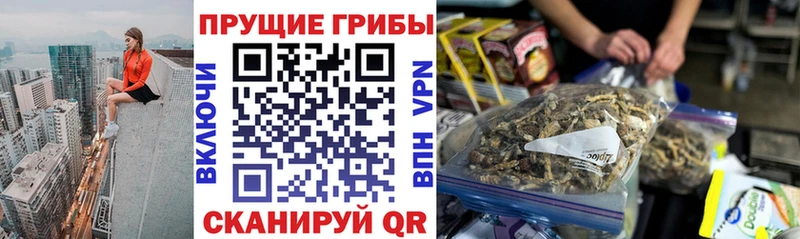 Галлюциногенные грибы мицелий  Рославль 