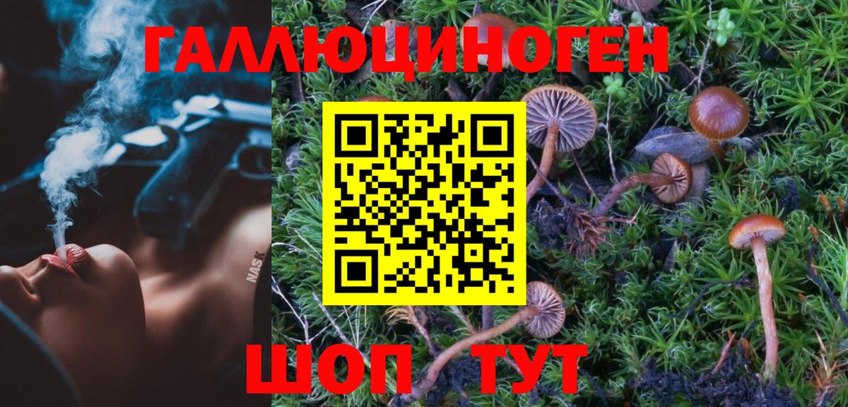 Галлюциногенные грибы мицелий Рославль